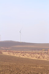 A field with wind turbines