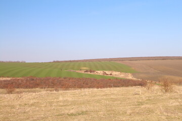 Fototapeta na wymiar A field with a field of crops