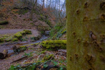 Wunderschöner Bach im Wald über den eine kleine Brücke führt 