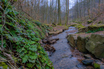 Wunderschöner kleiner Bach mitten im Wald
