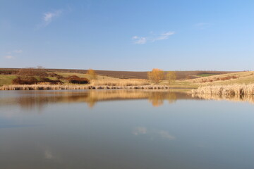A river flowing through a field