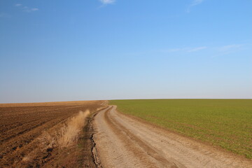 Fototapeta na wymiar A dirt road through a field