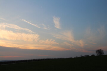 A field with a sunset