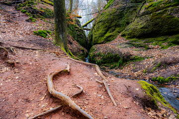 Kleiner Fluss der zwischen zwei moosigen Felsen entspringt