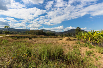 Enchanting Views: Rural Thailand's Tranquil Countrysides and Scenic Splendor