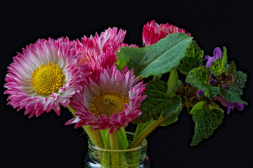 A tiny spring bouquet with a common daisy.