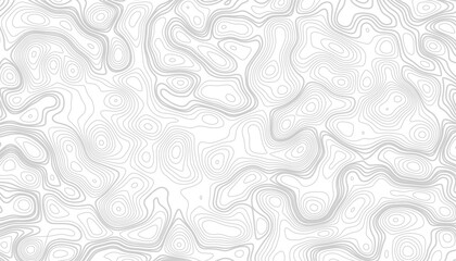 Topographic map. Abstract vector background. Abstract mountain terrain map background with abstract shape line texture. Design illustration for wall art, fabric, packaging, web, banner, wallpaper.