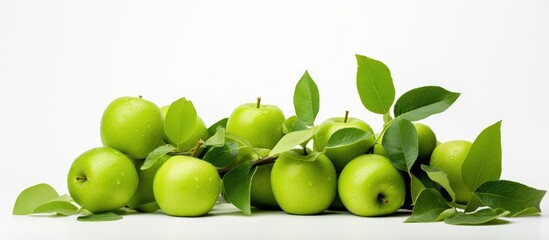 A bunch of green apples with leaves, a natural food staple, placed on a white surface showcasing the freshness of this fruit which is a superfood - Powered by Adobe