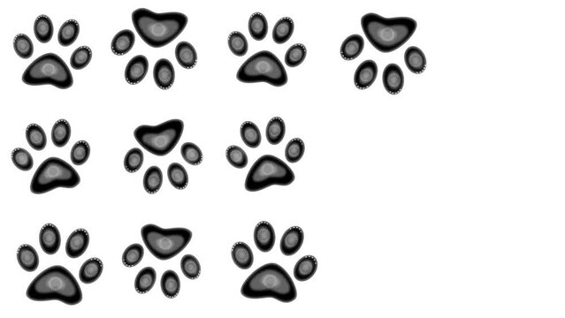 Walking Dog paw prints are black on white. Footprints of an animal predator.