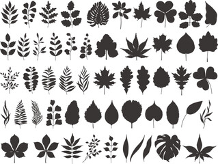 Botanical сollection of various Silhouettes of Branches and Leaves. Vector black flat illustration isolated on white background