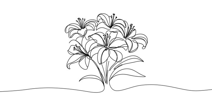 Line art, bouquet of lily flowers , drawing with one line, vector illustration white background.