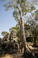 Cambodia 