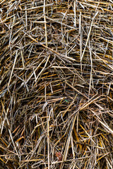 Closeup of a hayball with many details