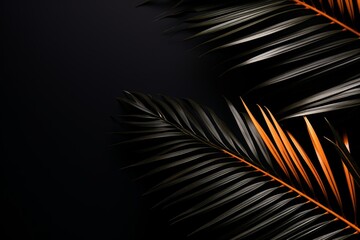 Flat lay arrangement of black leaf textures conveying a dark nature concept with a tropical twist