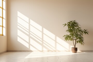 Modern beige interior with geometric sunlight, shadows, and natural decor empty wall mockup