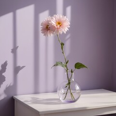 A beautiful flower in a transparent glass vase standing on a table, sunlight on a pastel purple wall. space for text