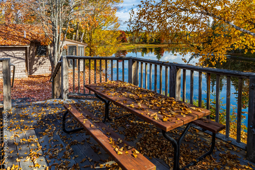 Wall mural New Hampshire-Errol-Bear Brook