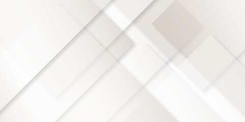 soft silver or white abstract background, Minimal geometric white light background abstract design.gray leaves that reflect concrete walls on a white wall surface.