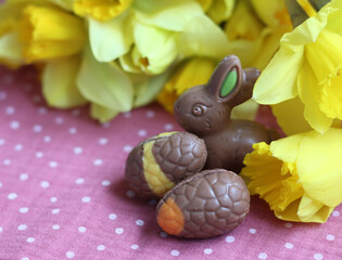 Easter chocolate bunnies and daffodils on pink tablecloth. Bright and colorful Easter card.