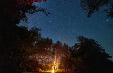A cozy night by the campfire on the edge of the forest, with the starry night sky above. - 755048406