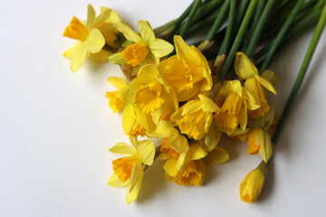 Bouquet of yellow daffodils. Easter season concept. Easter greeting card.