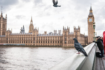 london, parliament, big ben, big, westminster, ben, england, river, bridge, houses, tower, thames,...