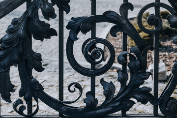 A fragment of a wrought iron gate with a decorative motif 