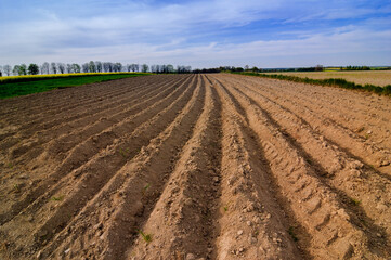 Landscape. Agricultural fields  in spring. Roztocze. Poland.