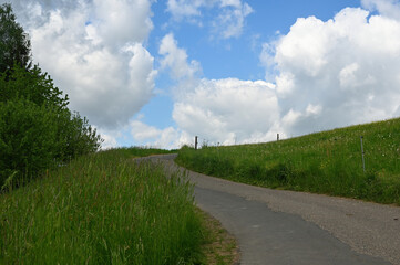 Country road between green meadows