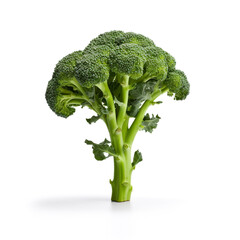 broccoli on a white background сreated with Generative Ai