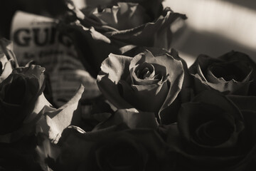Czarno białe roże, bukiet kwiatów, cienie i światła