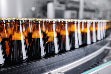 Banner Beer brewery conveyor. Brown glass alcohol bottles move on production line, modern equipment...