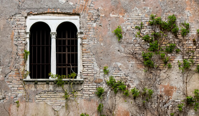 old white architectural window with metal grates on a deteriorated stone wall, surrounded by...