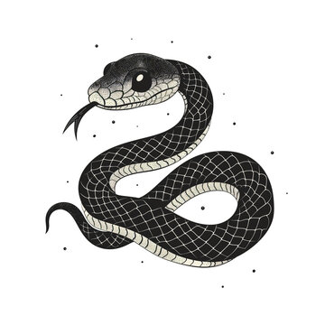 Minimalist ink black and white illustration of Snake. Zodiac symbol of Chinese New Year 2025. Tattoo sketch