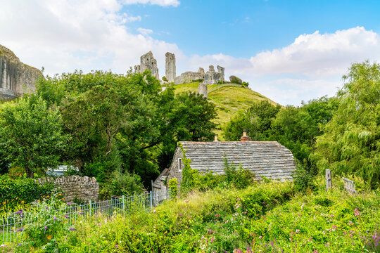 The imposing ruins of the medieval hilltop Corfe Castle, seen above the town in the village of Corfe Castle, England, United Kingdom.