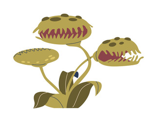 Venus Flytrap Is A Carnivorous Plant With Hinged, Tooth-like Structures That Snap Shut When Triggered By Prey © Pavlo Syvak