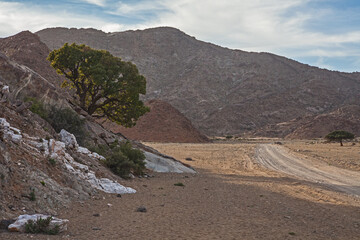 Desert Mountain scene in Richtersveld National Park 3899