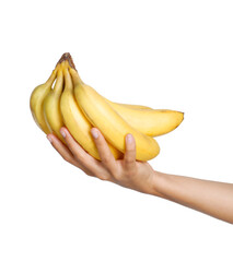 Hand holding banana fruit bunch on transparent background. - 755077605