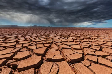 Fototapeten Drought land © Galyna Andrushko