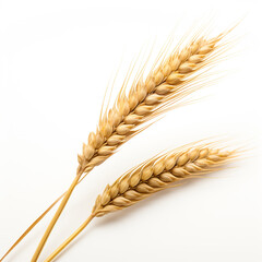 An ear of wheat, white background, professional photo сreated with Generative Ai