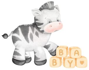 Baby Zebra Cartoon