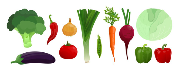 Collection of vector vegetables. Carrot, cabbage, pepper, tomato, onion, peas.