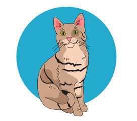 Doodle sketch line art animal cats characters hand drawn isolated set. Modern simple line outline style. Vector cartoon graphic design element illustration