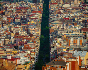 View of a long city street. Green avenue in Barcelona.