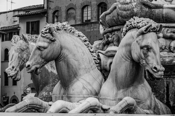 Florence, Tuscany. The Fountain of Neptune, also called Fountain of Piazza or Biancone