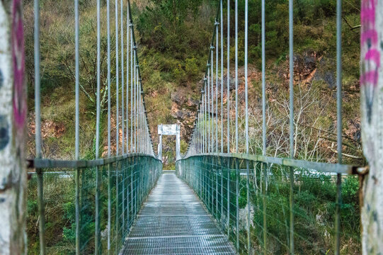 Fototapeta bridge over the river in the forest