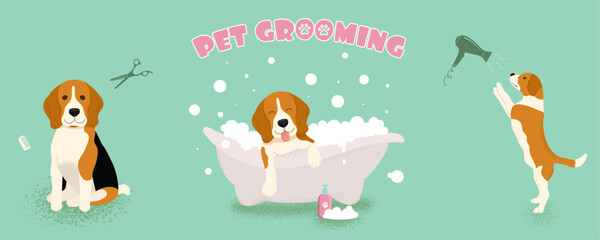 Dog in grooming salon. Cutting, bathing, hairdrying.  Colored vector illustrations set in flat  style.