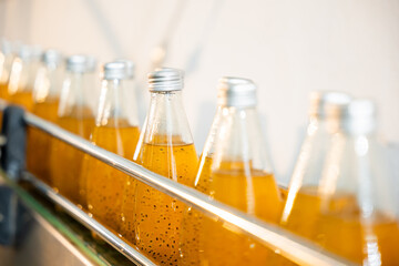 Basil or chia seed drinks with pomegranate are efficiently filled into transparent bottles on the factory's conveyor belt. Clean automated manufacturing depicts quality.