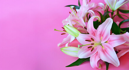 Close up beautiful lily flowers bouquet on a pink background. Copy space.