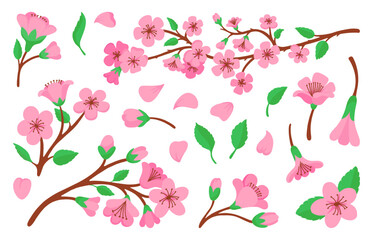 Blossom sakura branches and flowers. Pink cherry tree floral petals. Oriental spring festive, japanese symbol. Blooming peach branch, neoteric vector set